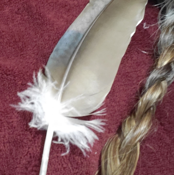 FOUND -- BIG Feather 11½ inch BEAUTIFUL Pheasant Bird Odd Decor Nature Outside - Picture 10 of 12